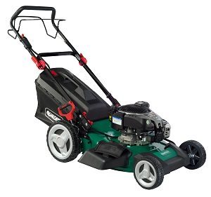 QUALCAST 53CM SELF PROPELLED PETROL LAWNMOWER WITH BRIGGS & STRATTON ...